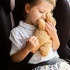 Childhome Gordelkussen Teddy Bruin^ Autostoelen & Accessoires